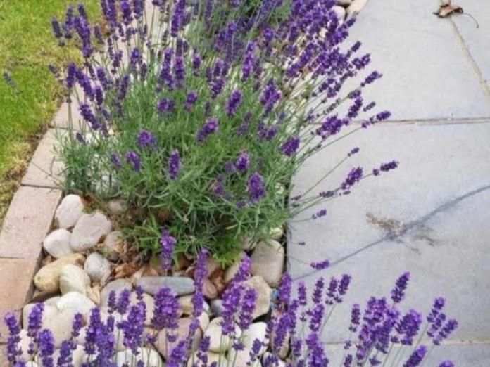 Apartman Aqua Podstrana Dış mekan fotoğraf